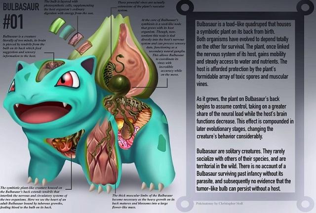 閲覧注意 ゲットじゃなくて 解剖だぜ なリアルすぎるポケモン図鑑 ギズモード ジャパン 閲覧注意 ゲットじゃなくて 解剖だぜ なリアルすぎるポケモン図鑑 ギズモード ジャパン