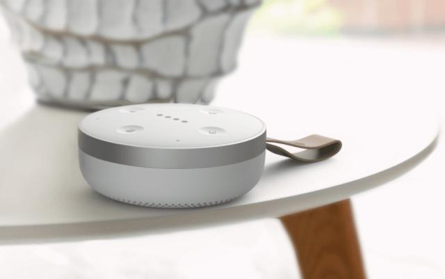 20170901-Smart-Speaker-Google-Assistant-2