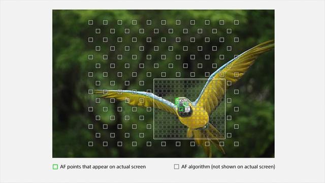 RX10IV_PIM_Hi-densityAF3_20170821_EU08_R