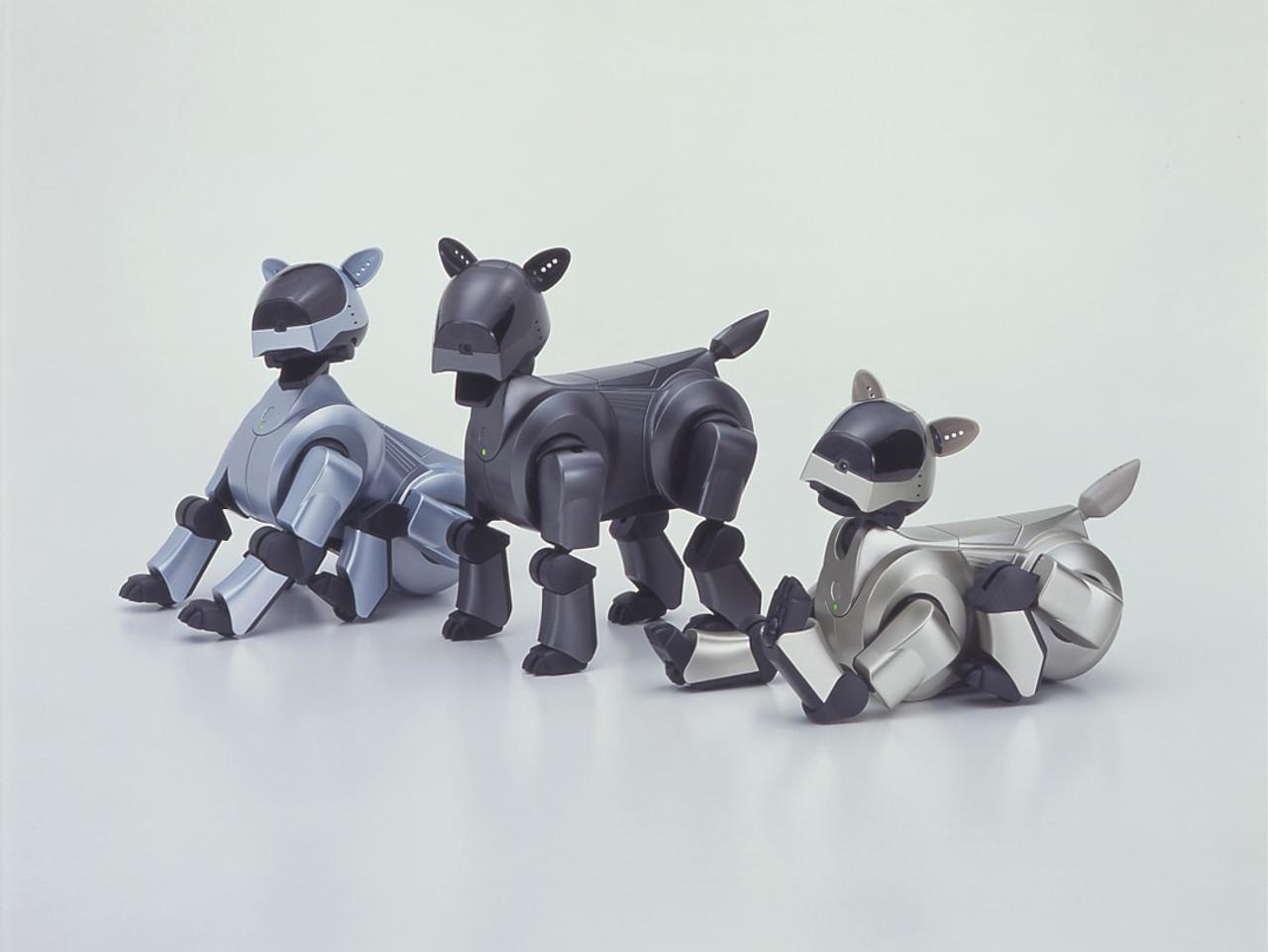 ソニー｢AIBO｣系譜の新しいイヌ型ロボット、11月に発表か!?