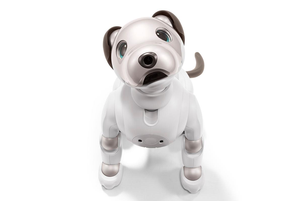 12年ぶりに帰ってきたワン！ かわいさ＋賢さアップの犬型ロボット 