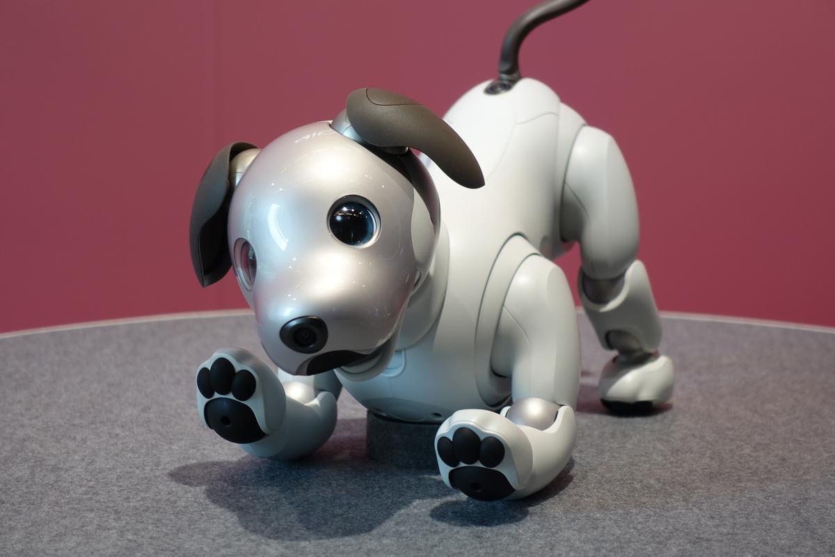 12年ぶりに帰ってきたワン！ かわいさ＋賢さアップの犬型ロボット