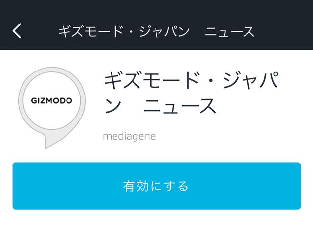 amazon_echo_giz_1