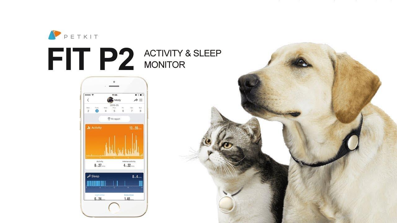 まさにペット用のFitbit。愛犬、愛猫の活動量を調べる｢FIT P2｣がキャンペーンを開始