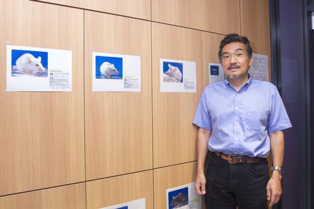 もりもり食べても、どんどん痩せる? 睡眠を司る「オレキシン」の秘めたる実力とは