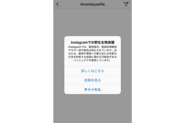 instagram_selfie_20171212