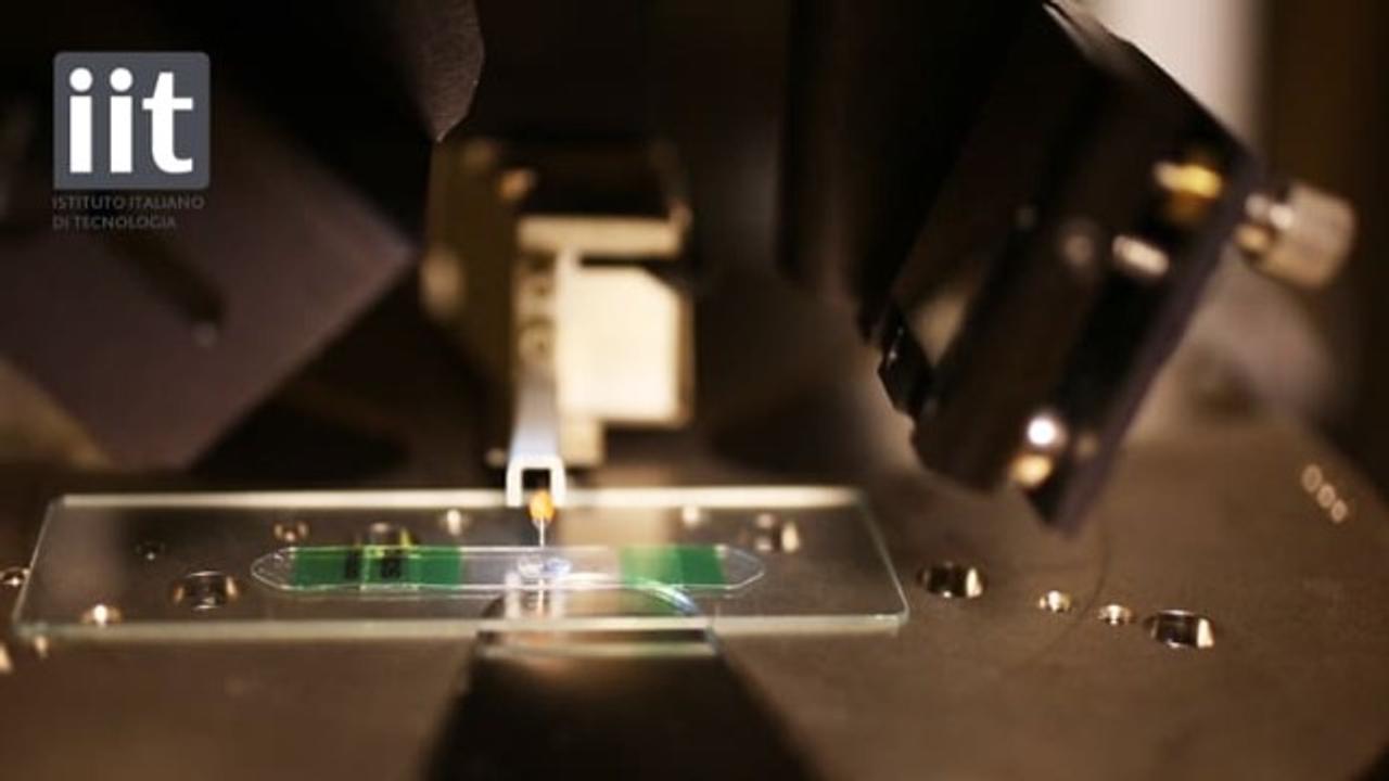 イタリア工科大の研究者が開発。スマホを顕微鏡に変えるレンズ｢BLIPS｣を使ってみた