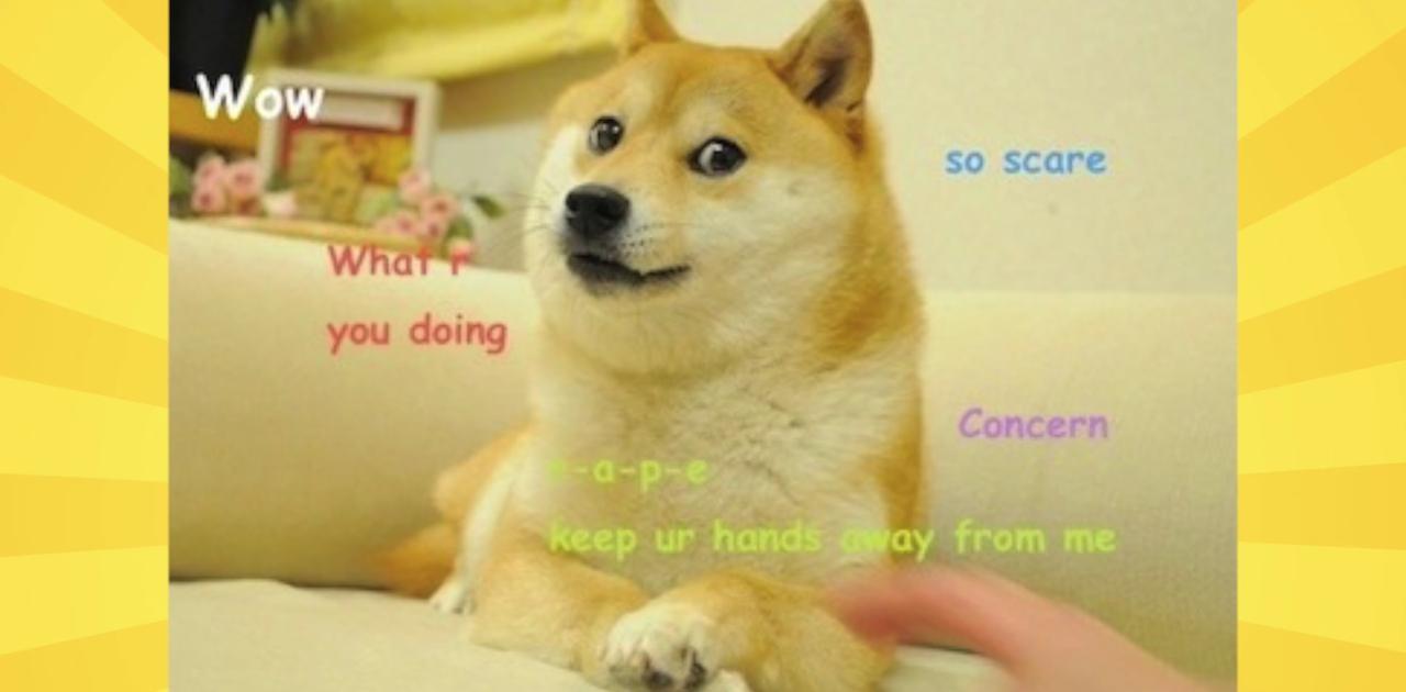 暴騰アップデート】ドージコインの人気の秘密はミームにあり | ギズモード・ジャパン