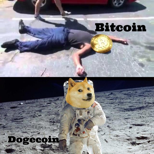 20180206-doge-will-reach-the-moon-04