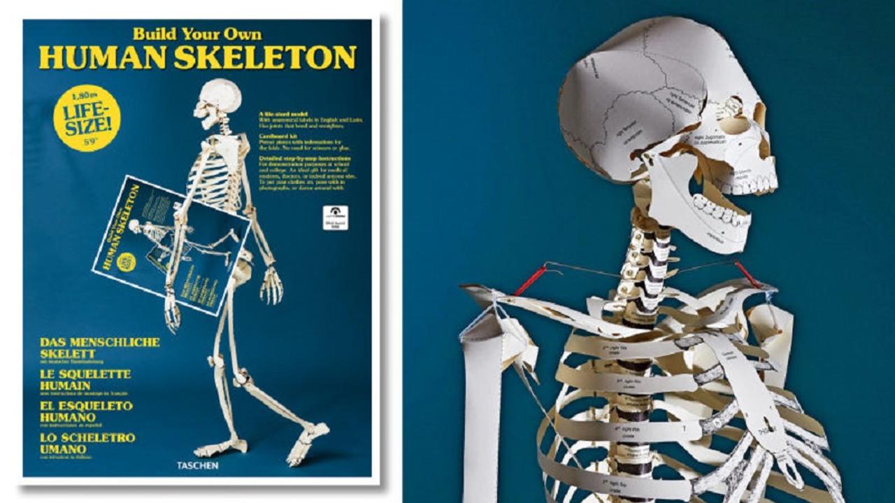 楽しみながら骨の名称を覚えられそう！ 実物大の人体骨格模型を作れるペーパークラフト本