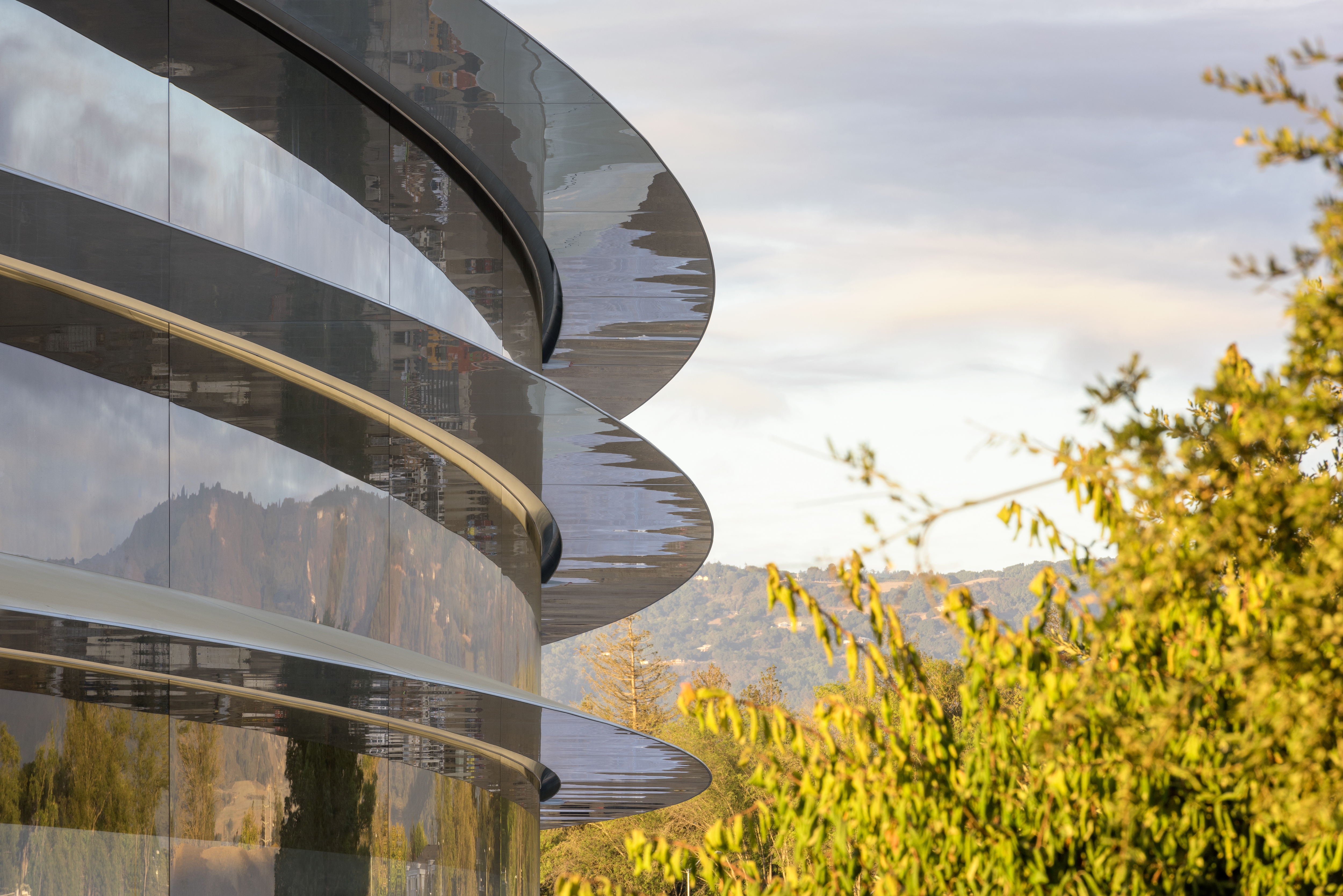 Apple Parkがガラス張りすぎて社員が激突しまくる | ギズモード・ジャパン