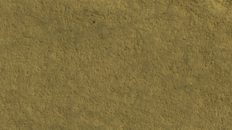 2008年に火星で水の存在を発見したフェニックス探査機は今、火星の砂に埋もれている。現在の姿をNASAが公開