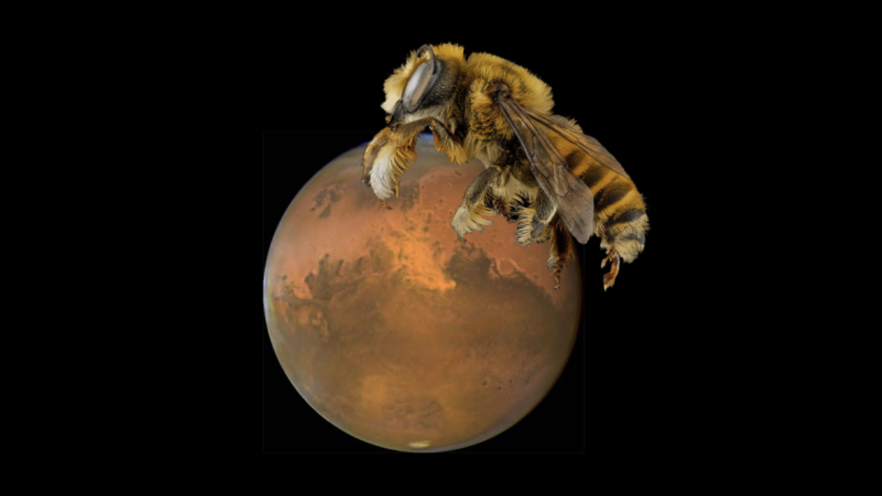 ぶーーーん。NASAの次のアイディアは火星で飛ばせるハチ型ロボット