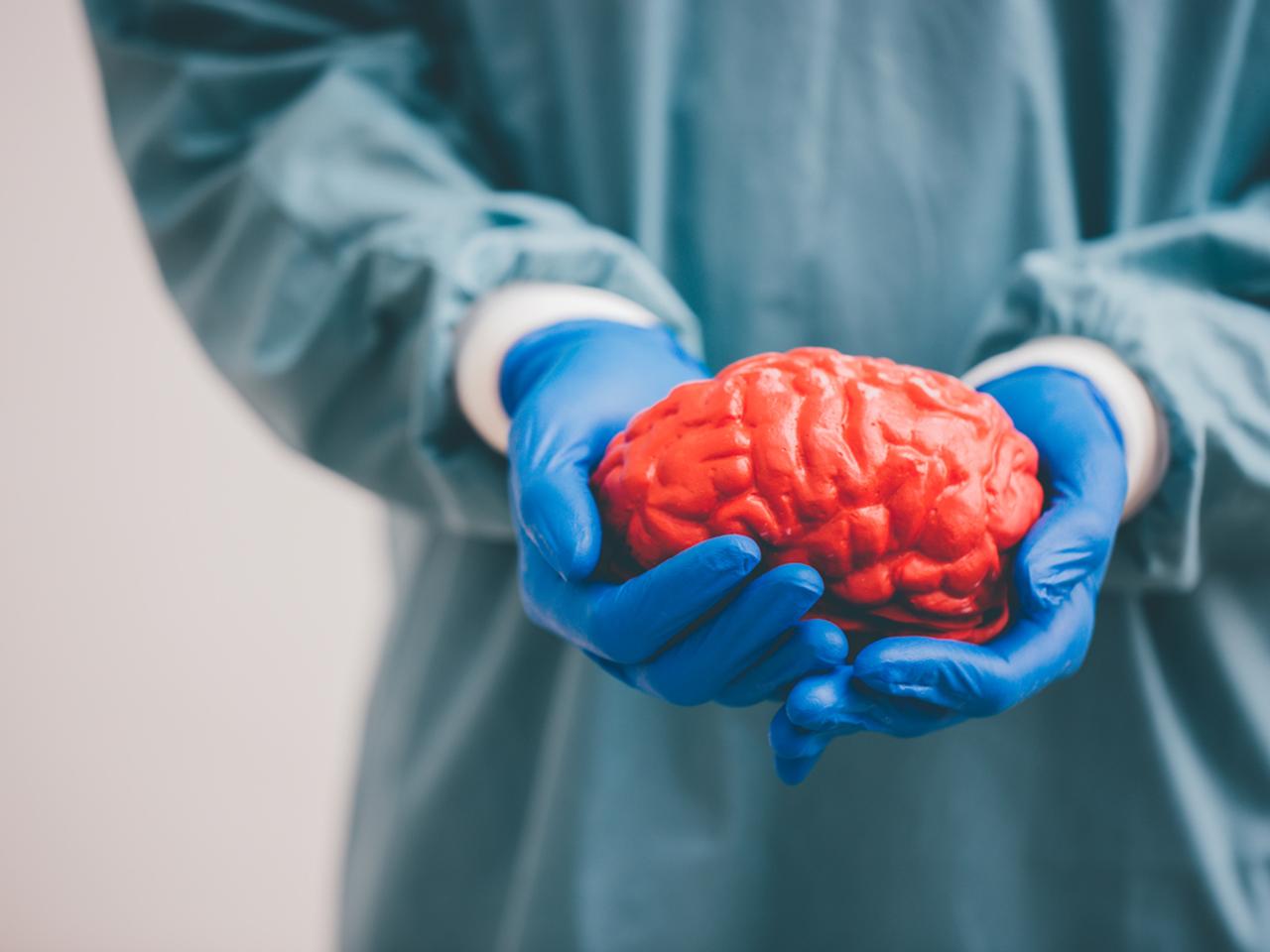 イェール大学、身体から切り離された脳を36時間”生かす”ことに成功