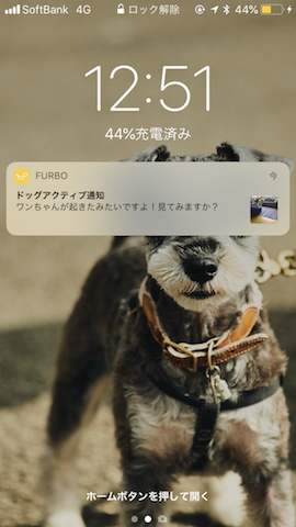 20180531furboapp1-1
