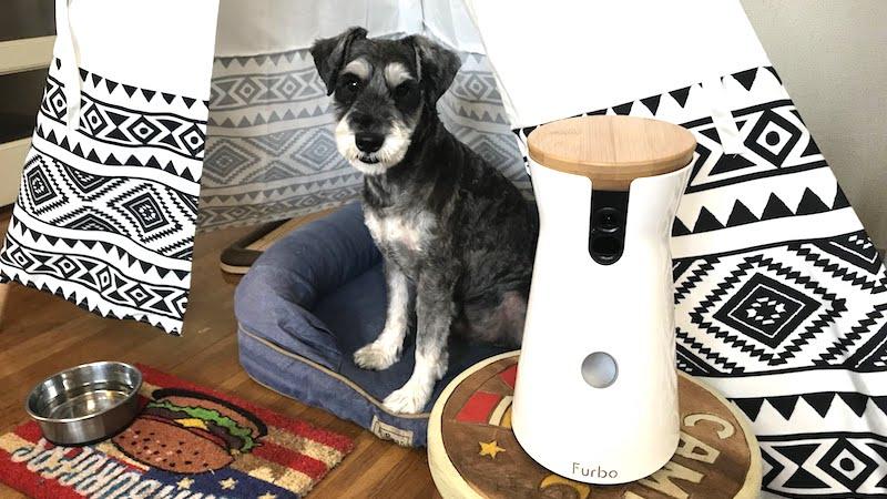 読者限定で2,000円オフ】スマホ連携で愛犬と遊べるドッグカメラ｢Furbo