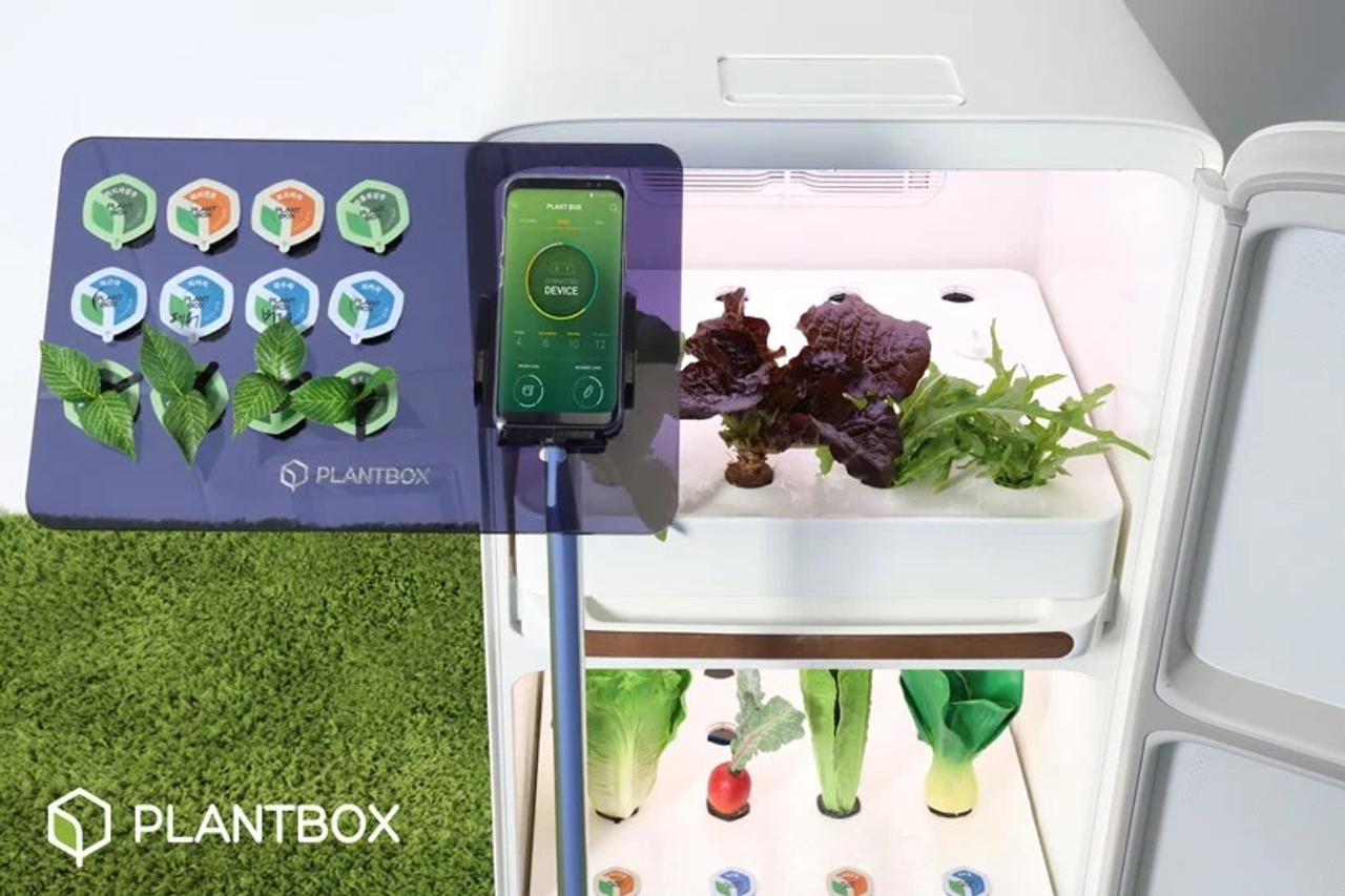 完全放置で野菜が育つ。冷蔵庫のような箱型のスマート家庭菜園