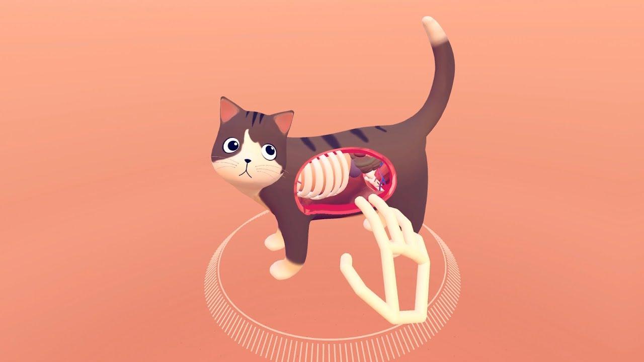 ネコの体内を透視できるVR解剖学アプリ｢Cat Explorer｣