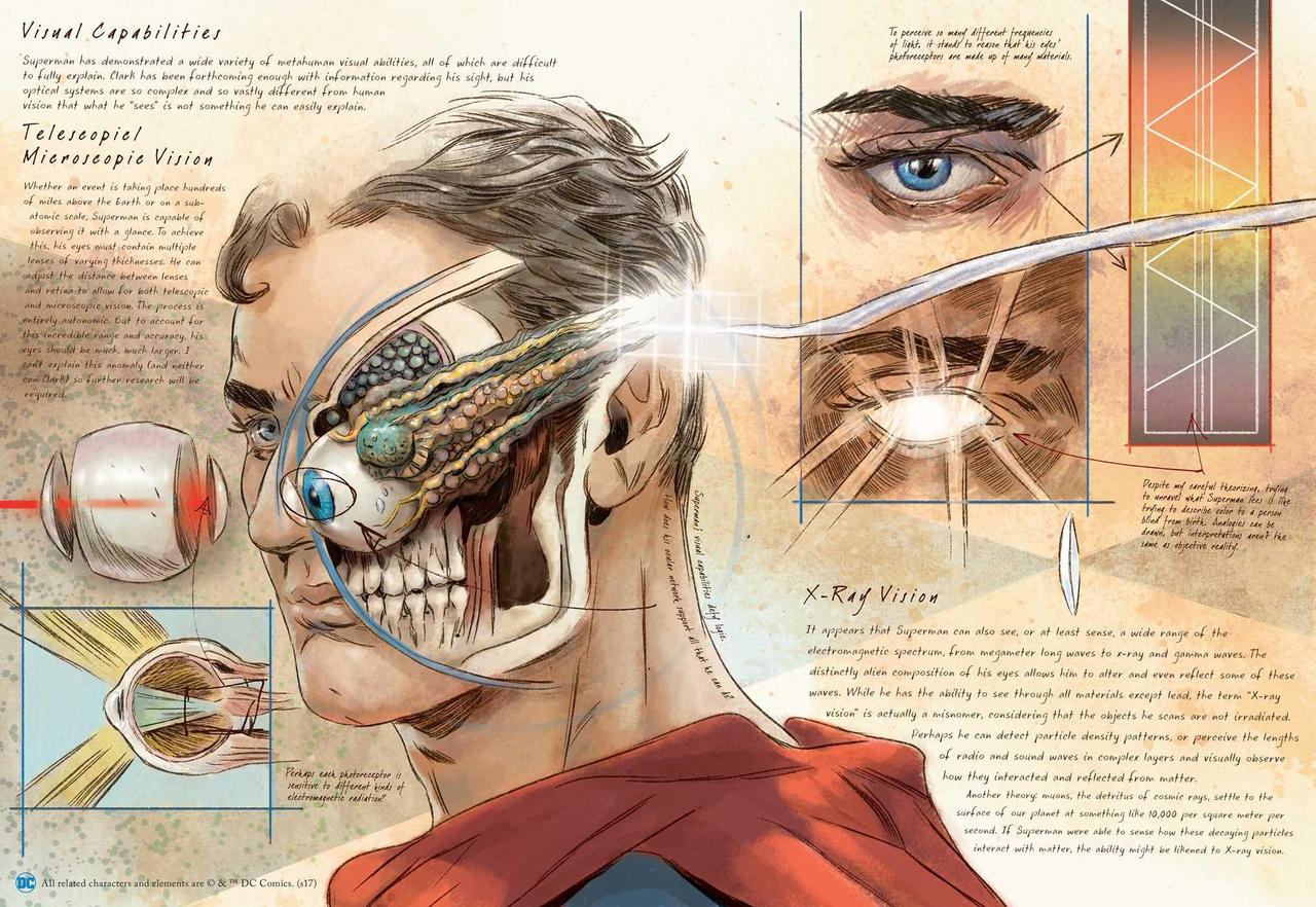 目から光線を出すスーパーマンってどんな体してんの？ DCコミック・ヒーロー解剖図集