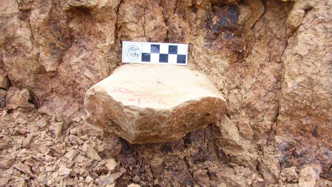 中国で発見された｢200万年以上前の石器｣が意味すること
