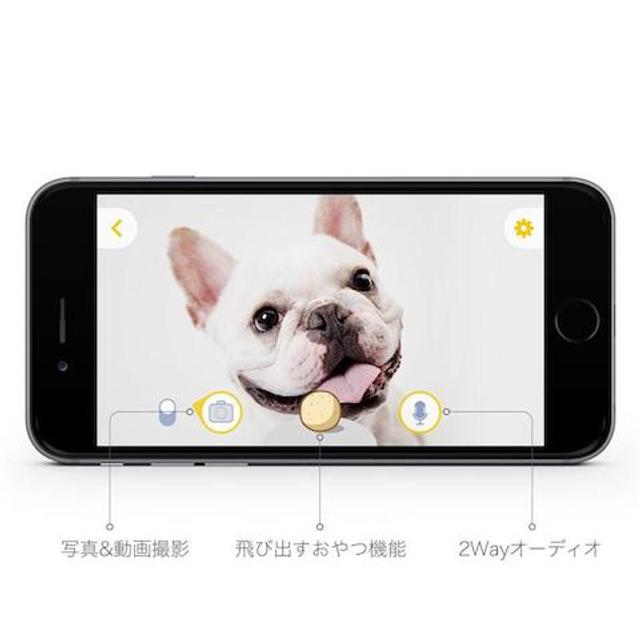 img_product_2-japanese_1024x1024