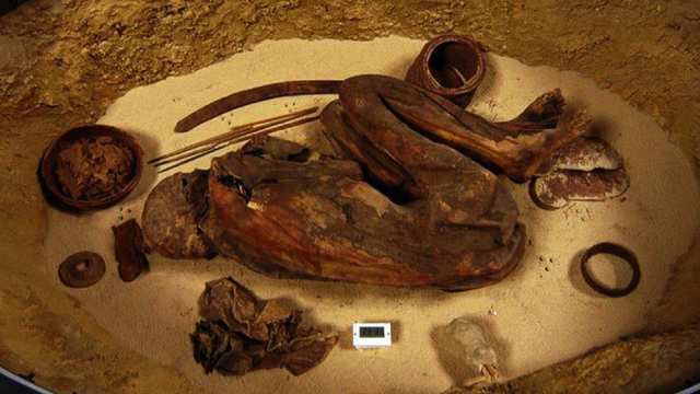 古代エジプト人は、ファラオの時代よりもずっと前にミイラ製造法