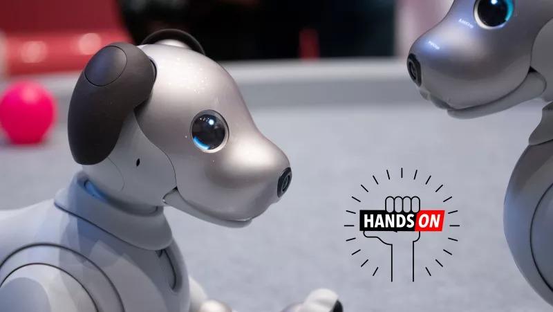 SONY 第3世代 AIBO マロン 今の所は動きます - その他