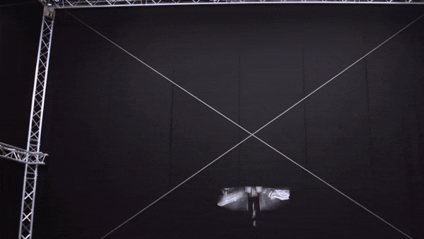モデルはハエ!? 4枚の翼でパタパタ自律飛行するロボット｢DelFly Nimble｣を開発
