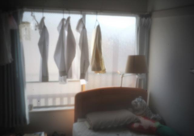 20181015-pinhole04
