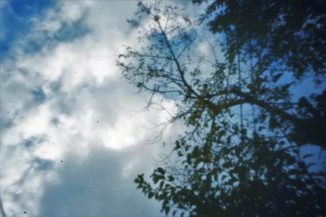 20181015-pinhole09