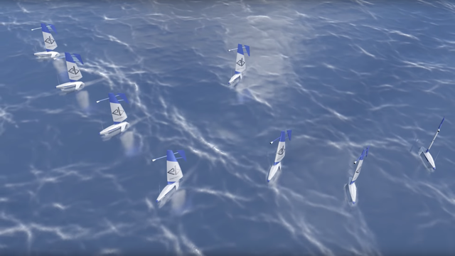 181009_everblue_sailing_boat-network
