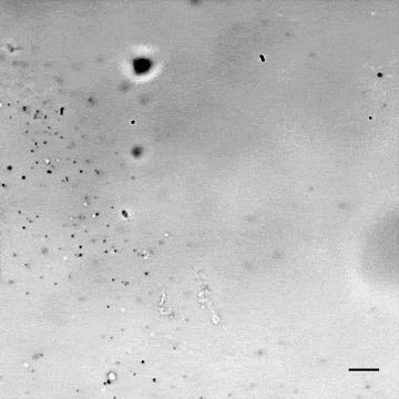 181116_nanorobots