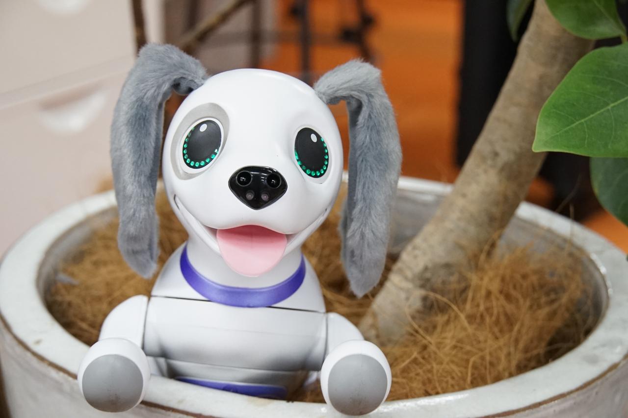 ハロー！ズーマー ミニチュアダックスフンド 動く犬 ロボット