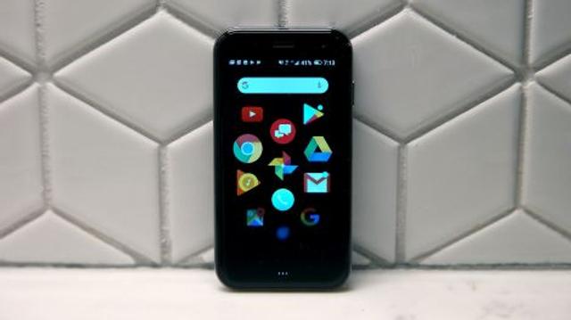 181222_palmreview_02