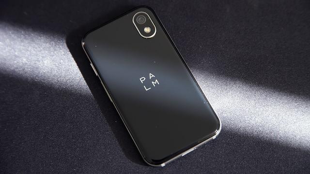181222_palmreview_06