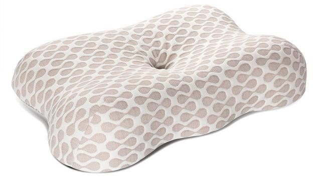 181227_buy_buy_2018_pillow