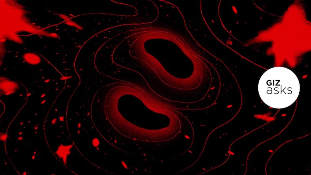 ブラックホールとブラックホールがぶつかったら どうなるの 専門家に聞いてみた ギズモード ジャパン ブラックホールとブラックホールがぶつかったら どうなるの 専門家に聞いてみた ギズモード ジャパン