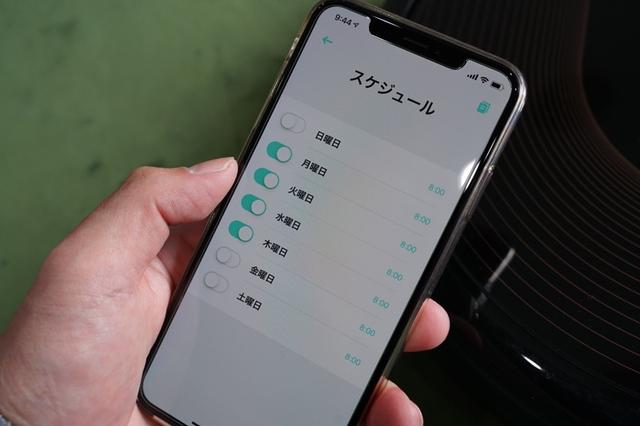 190206rok06r