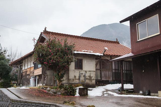 20190225gizmodo_tsuwano_IMG_3683