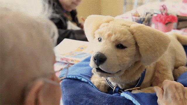 Tombotのロボ犬はこころの救世主かもしれない ギズモード ジャパン Tombotのロボ犬はこころの救世主かもしれない ギズモード ジャパン