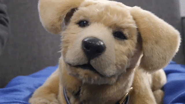 Tombotのロボ犬はこころの救世主かもしれない ギズモード ジャパン Tombotのロボ犬はこころの救世主かもしれない ギズモード ジャパン