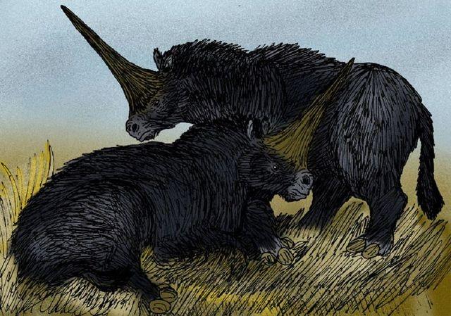 161011_ancientanimals6