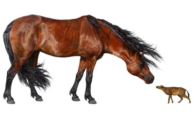 global-warming-led-to-dwarfism-in-mammals-twice-Hyracotherium-orig-20131101-768x453