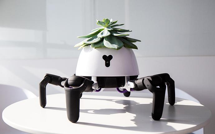 人気 もっと光を！ 陽の当たる場所を求めて移動する6脚ロボット 鉢・プランター