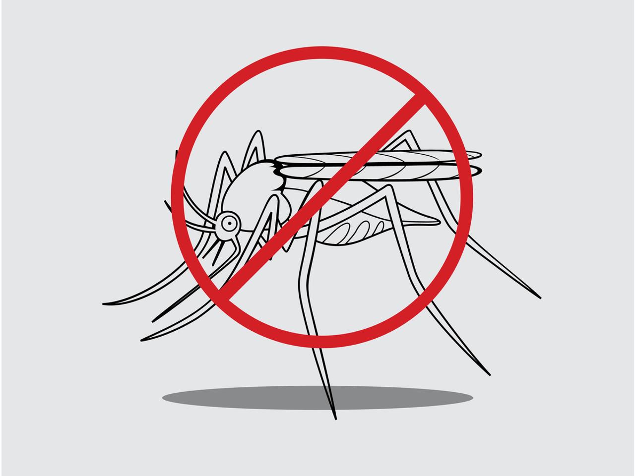 【閲覧注意】害虫格差は経済格差。殺虫剤が効かない虫と戦う21世紀のハンターたち