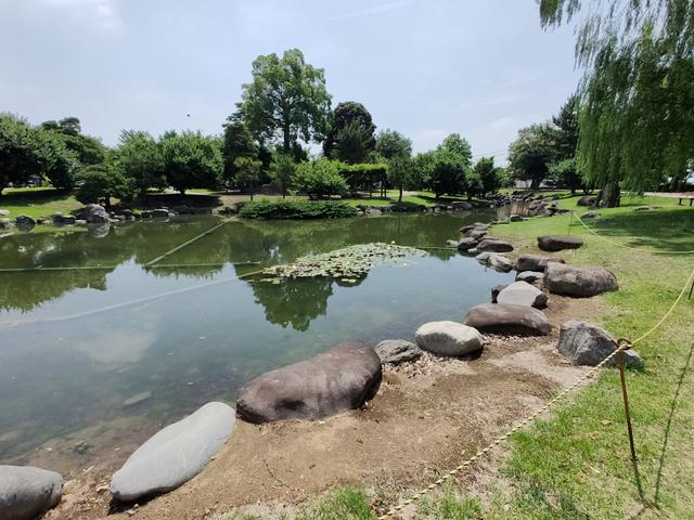 IMG20190626102146