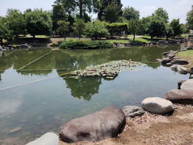 IMG20190626102149