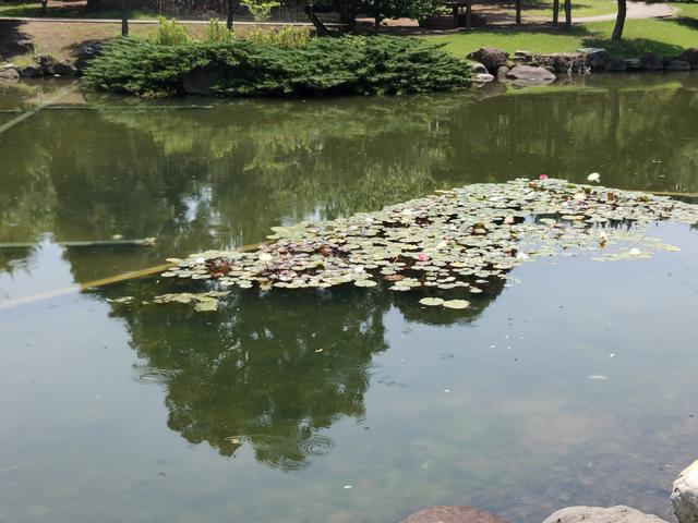 IMG20190626102152