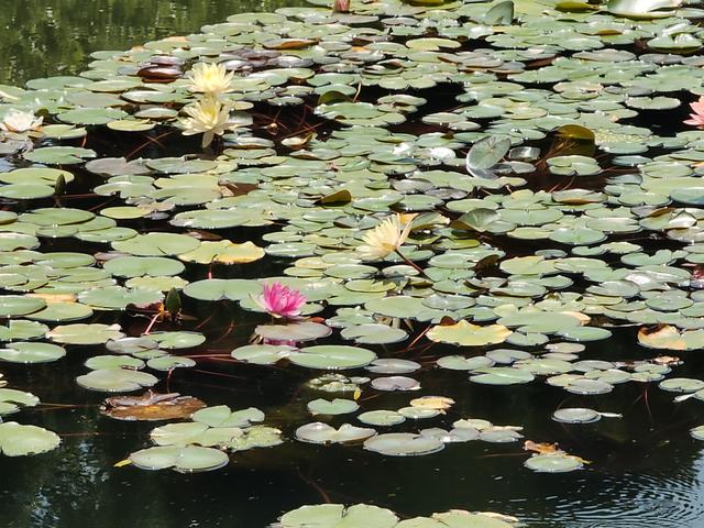 IMG20190626102201