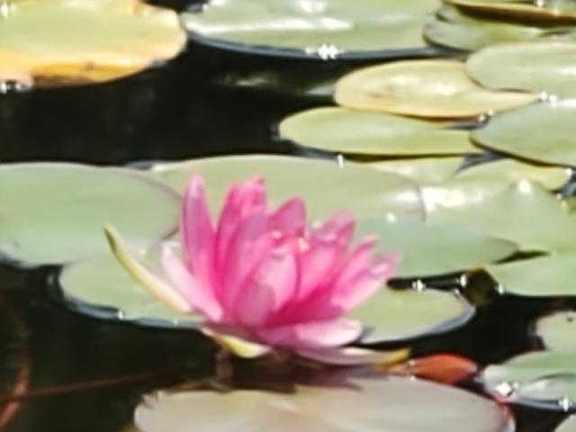 IMG20190626102216
